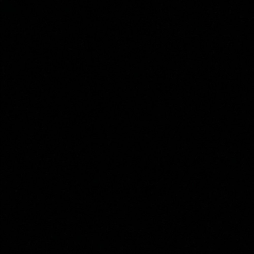 Meet your Posher, Vanesha